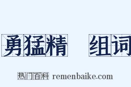 勇猛精進组词是什么意思的图片